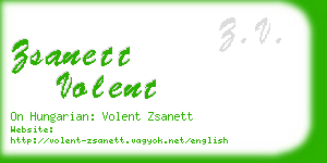 zsanett volent business card